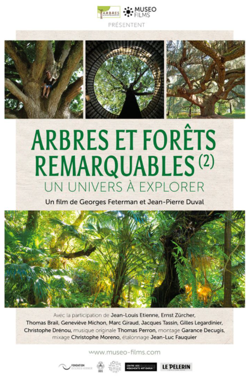 2021 11 08 Projection Ciné ARBRES Affiche