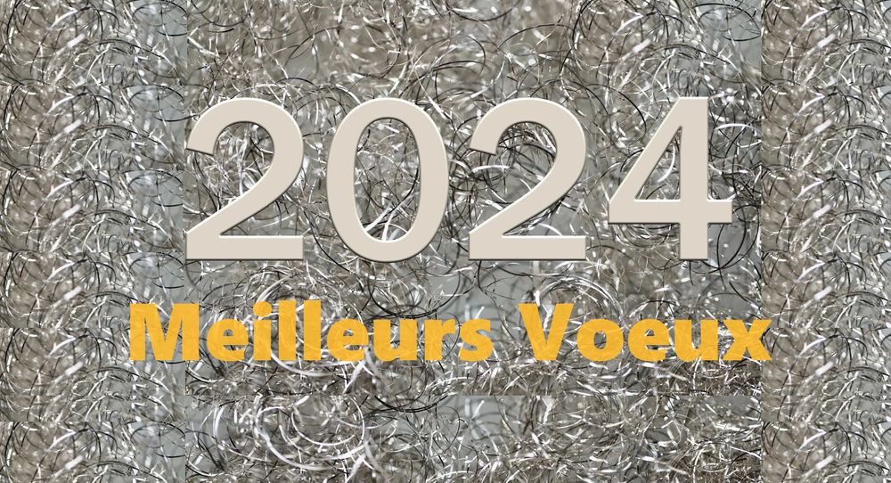 20214 01 01 Voeux à la population Image Site Redim