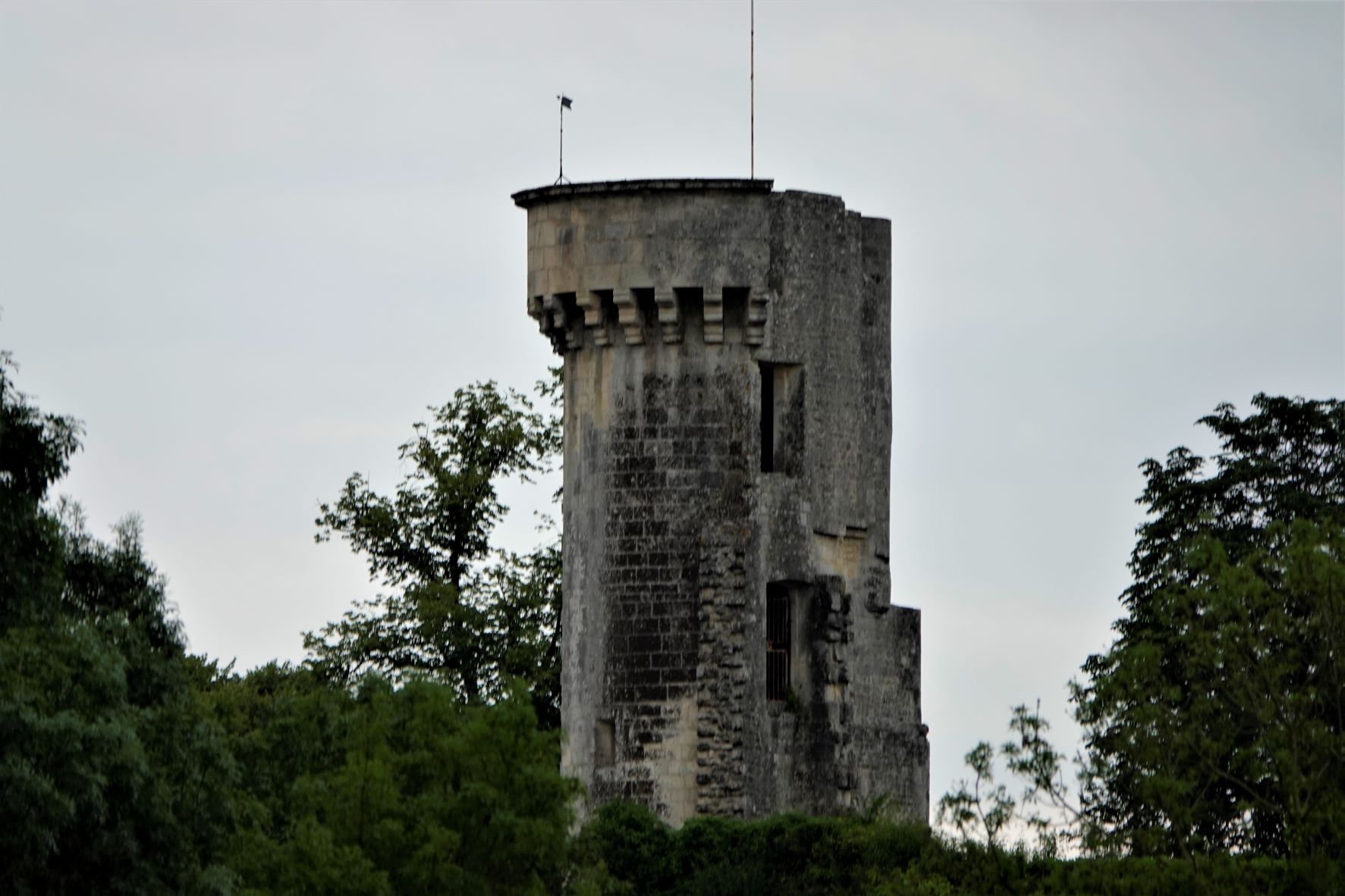 Croisière 48