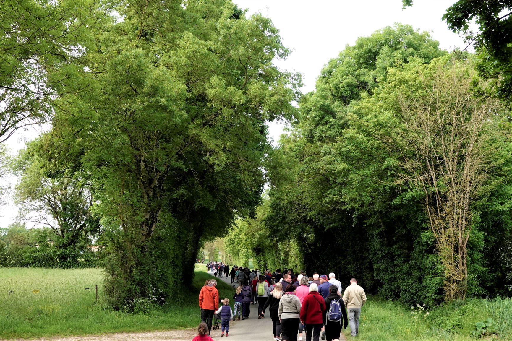 2022 05 01 8 Marche G 22 Montée vers Les Chaumes