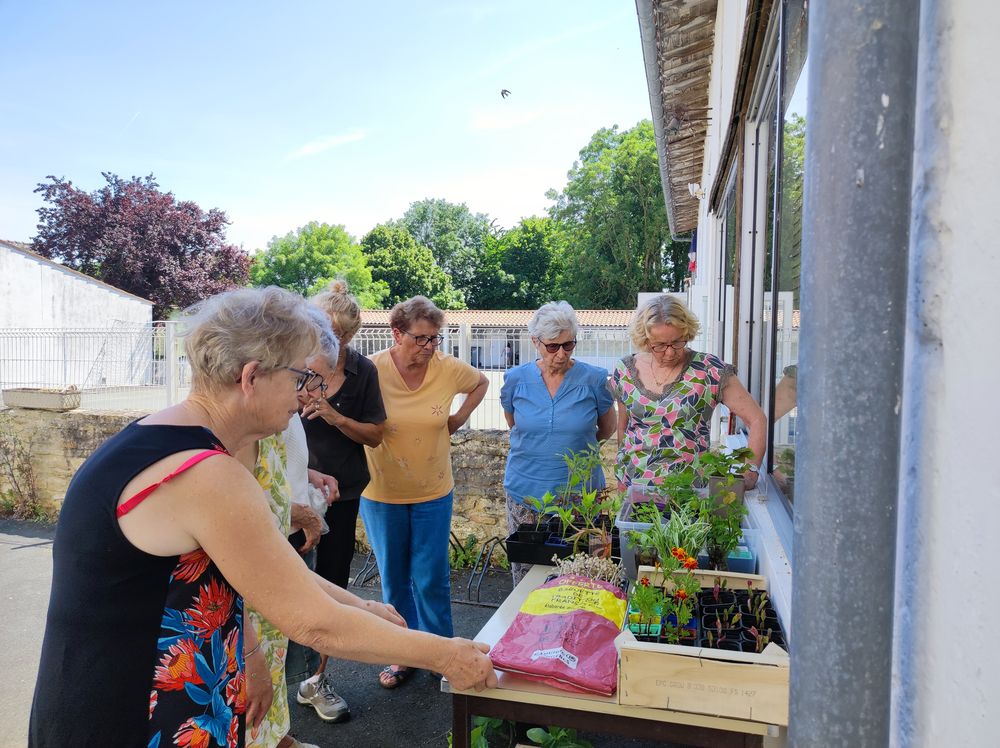 2023 06 02 Troc de plantes 1 Redim