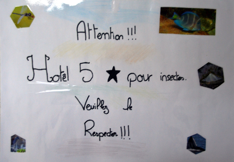 Affiche CMJ 11