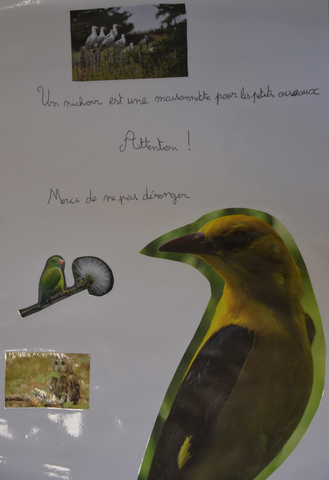 Affiche CMJ 3