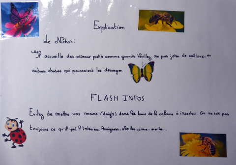 Affiche CMJ 6