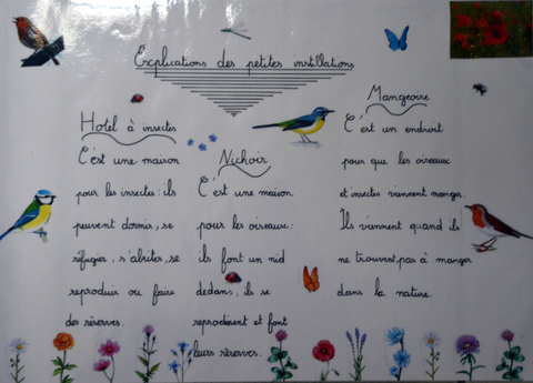 Affiche CMJ 8