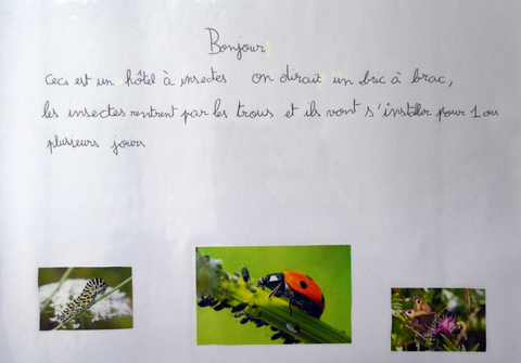 Affiche CMJ 9