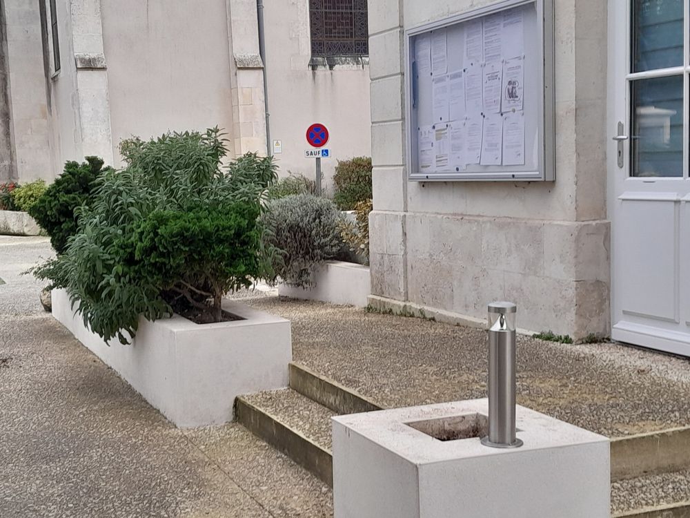 2022 10 24 Incivilités plante Mairie 2 Redim