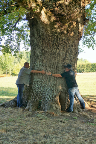 Chêne Pré Bégue avec Francis.jpg