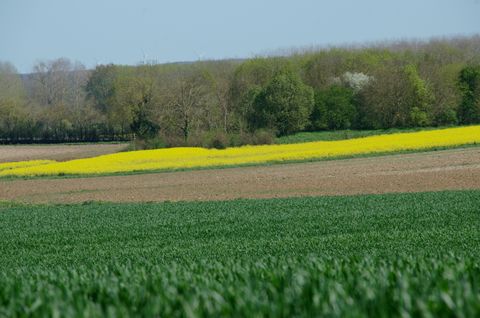 Les couleurs des champs