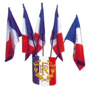 Image drapeaux français.png