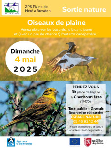 sortie-oiseaux-de-plaine.jpg