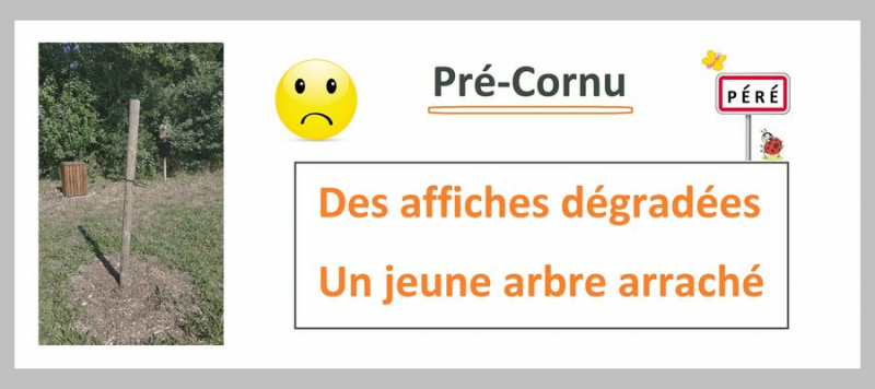 Des dégradations intolérables au Pré-Cornu depuis début juillet