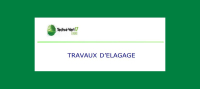 Élagage à proximité des lignes électriques sur l&#039;ensemble de la Commune