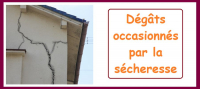 Déclaration des dégâts occasionnés par la sécheresse