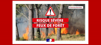 VIGILANCE FEUX DE FORÊT PASSAGE AU NIVEAU « RISQUE SÉVÈRE »