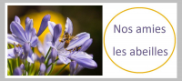 Ayons les bons réflexes : préservons les abeilles !