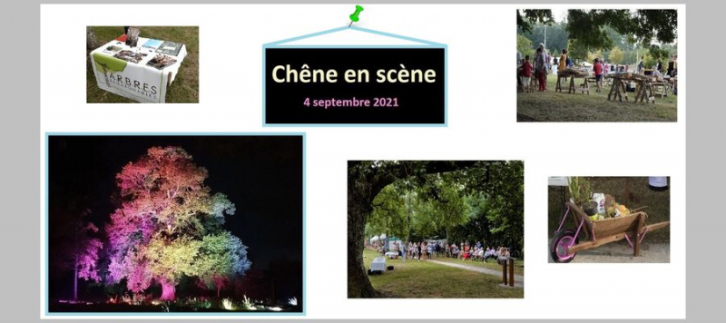 Chêne en scène a tenu toutes ses promesses : labélisation, animations, restauration et magnifique spectacle de clôture !